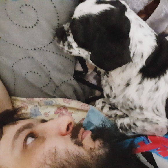 Meet your Posher, Joshua - Picture 1 of 1